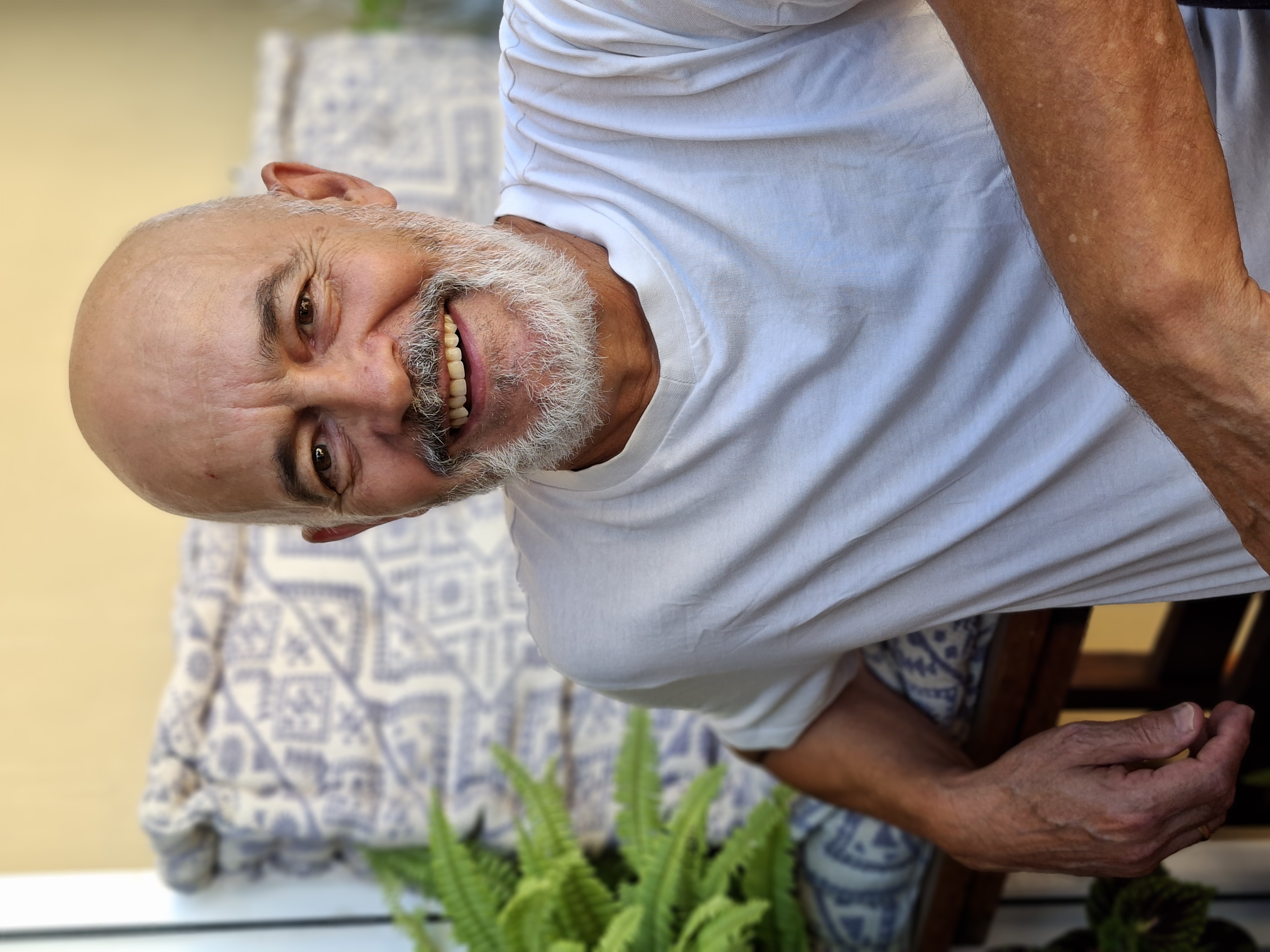 Estévez pintor, Wilfredo