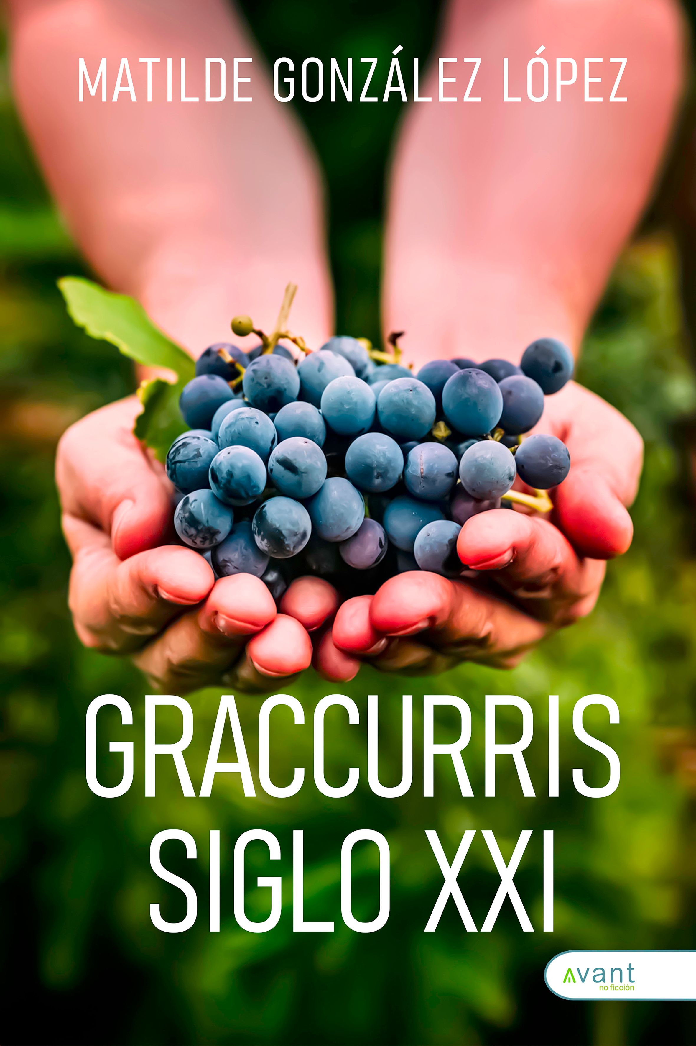 Graccurris siglo XXI
