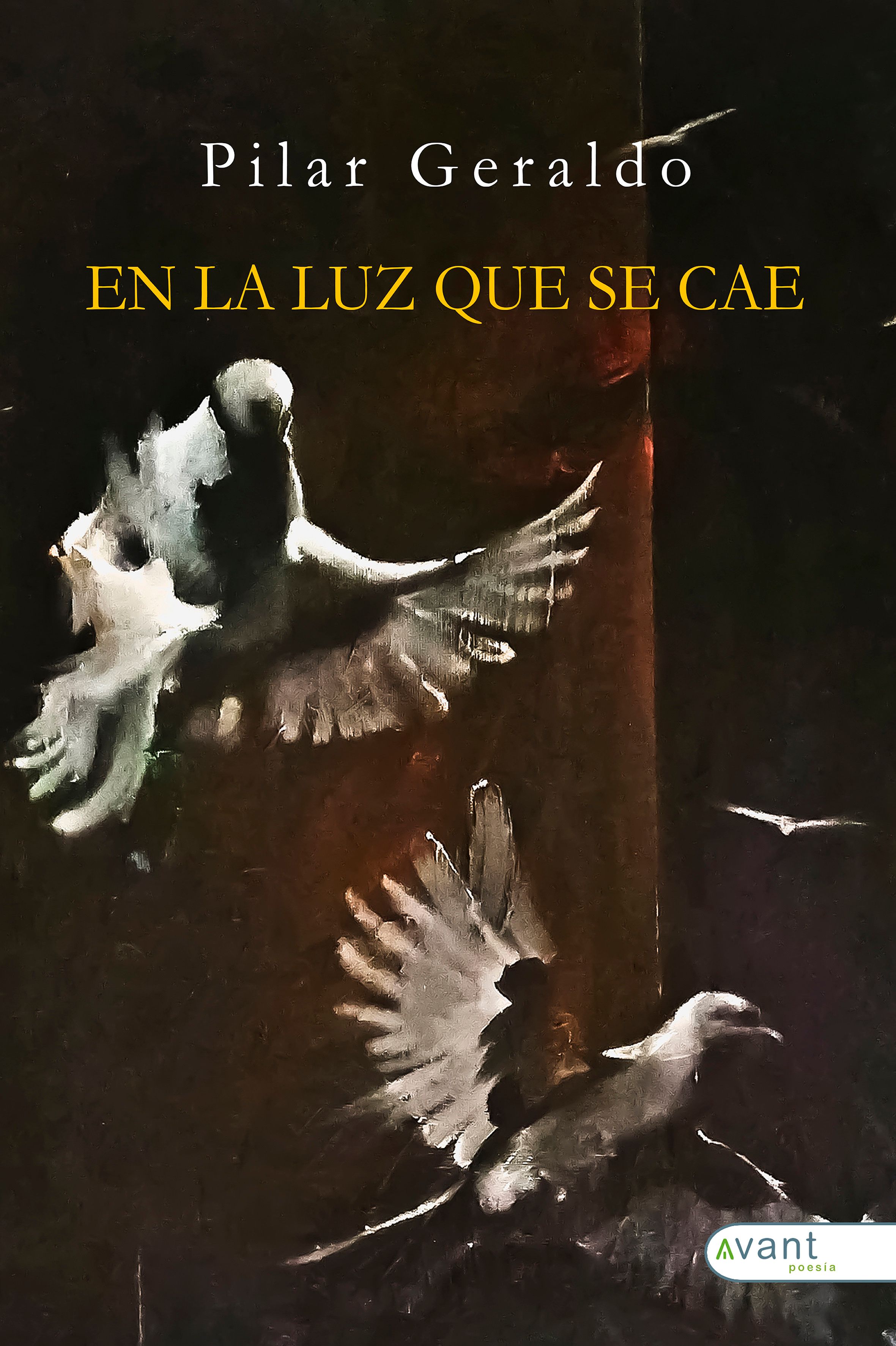 En la luz que se cae